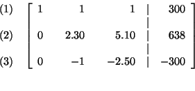 \begin{eqnarray*}
&&
\begin{array}{r}
(1) \\
\\
(2) \\
\\
(3)
\end{a...
... & & -2.50 & \vert & -300
\end{array}
\right] \\
&& \\
&&
\end{eqnarray*}